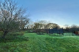 Southerly Rear Garden- click for photo gallery